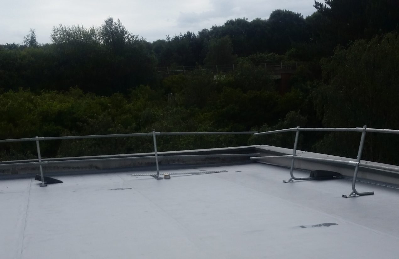Single ply membrane roofing 